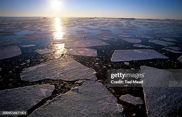 antarctica, sea ice breaking up in late summer - arctique photos et images de collection