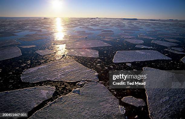 antarctica, sea ice breaking up in late summer - antartide foto e immagini stock