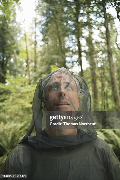 mature man wearing mosquito netting suit in forest, looking up - mosquito netting stock-fotos und bilder