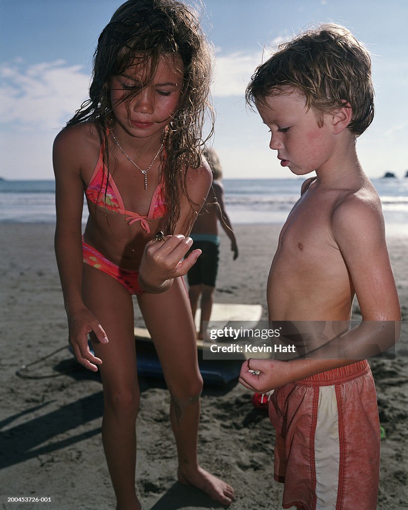 Girl (8-10) showing boy (4-6) crab on beach