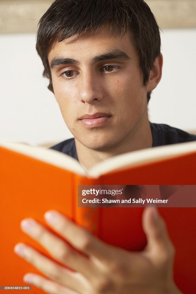 Teenage boy (16-18) reading book