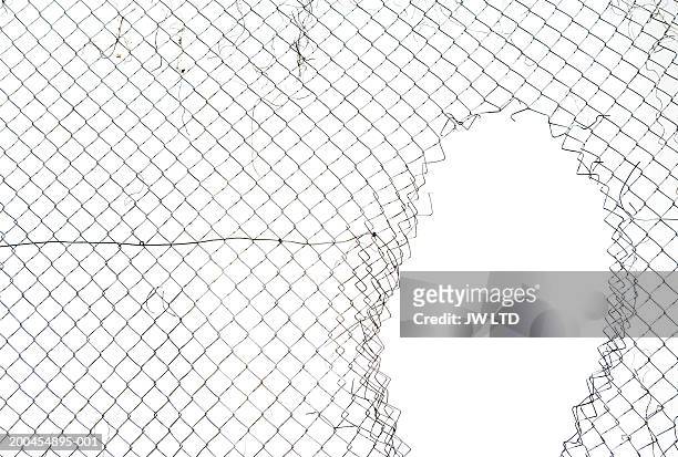 hole in wire mesh fence - wire mesh fence stock-fotos und bilder