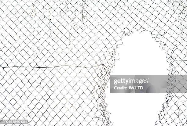 hole in wire mesh fence - fragility fracture stock pictures, royalty-free photos & images