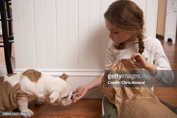 young girl (8-10) feeding dog - dog eats out girl stock-fotos und bilder