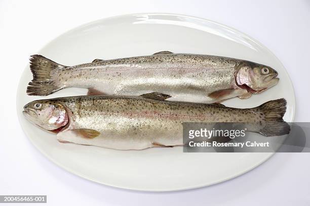two fresh trout on plate, close-up - trout fotografías e imágenes de stock