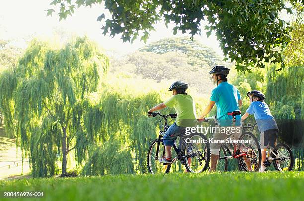 father and two sons (10-12) riding bikes in park, rear view - centennial park stock-fotos und bilder