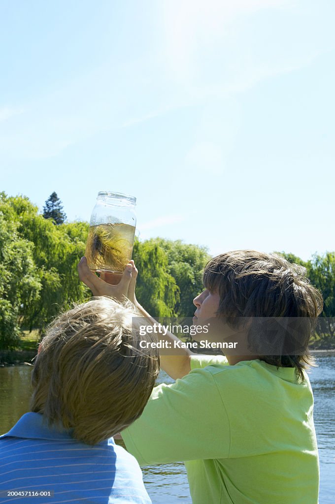 Two boys (11-13) looking at pond-life in jar, outdoors, rear view