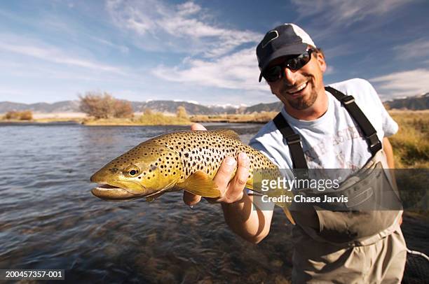 man holding brown trout in river, portrait (focus on fish) - brown trout 個照片及圖片檔