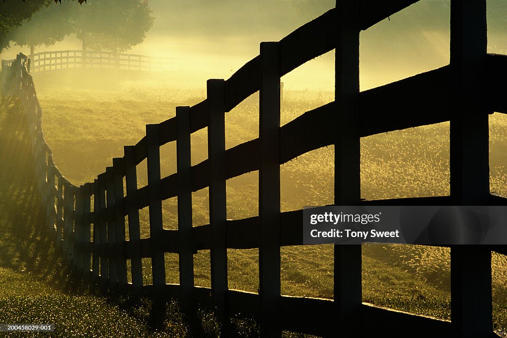 Mist rising in field, view along wooden fence
