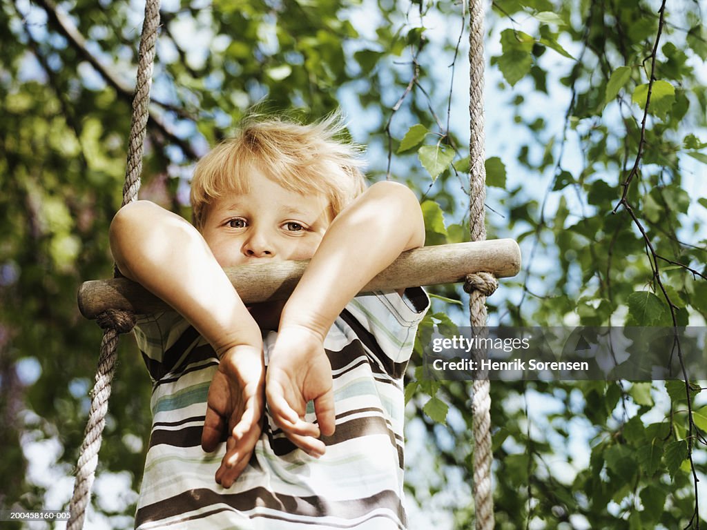 Boy (3-5) hanging from rope ladder in tree, portrait, close-up