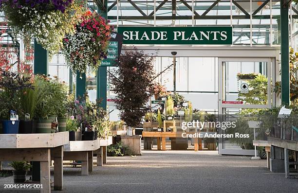 assorted potted plants beneath 'shade plants' sign in nursery - flower shop stockfoto's en -beelden