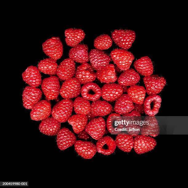 Black Raspberry Desktop Background Raspberry Black Background Photos and Premium High Res Pictures - Getty ...