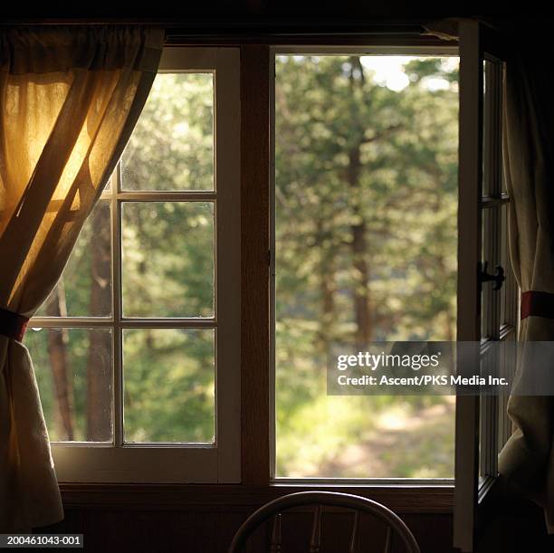 bungalow window, path and forest in background, summer, sunset - window frame stock pictures, royalty-free photos & images