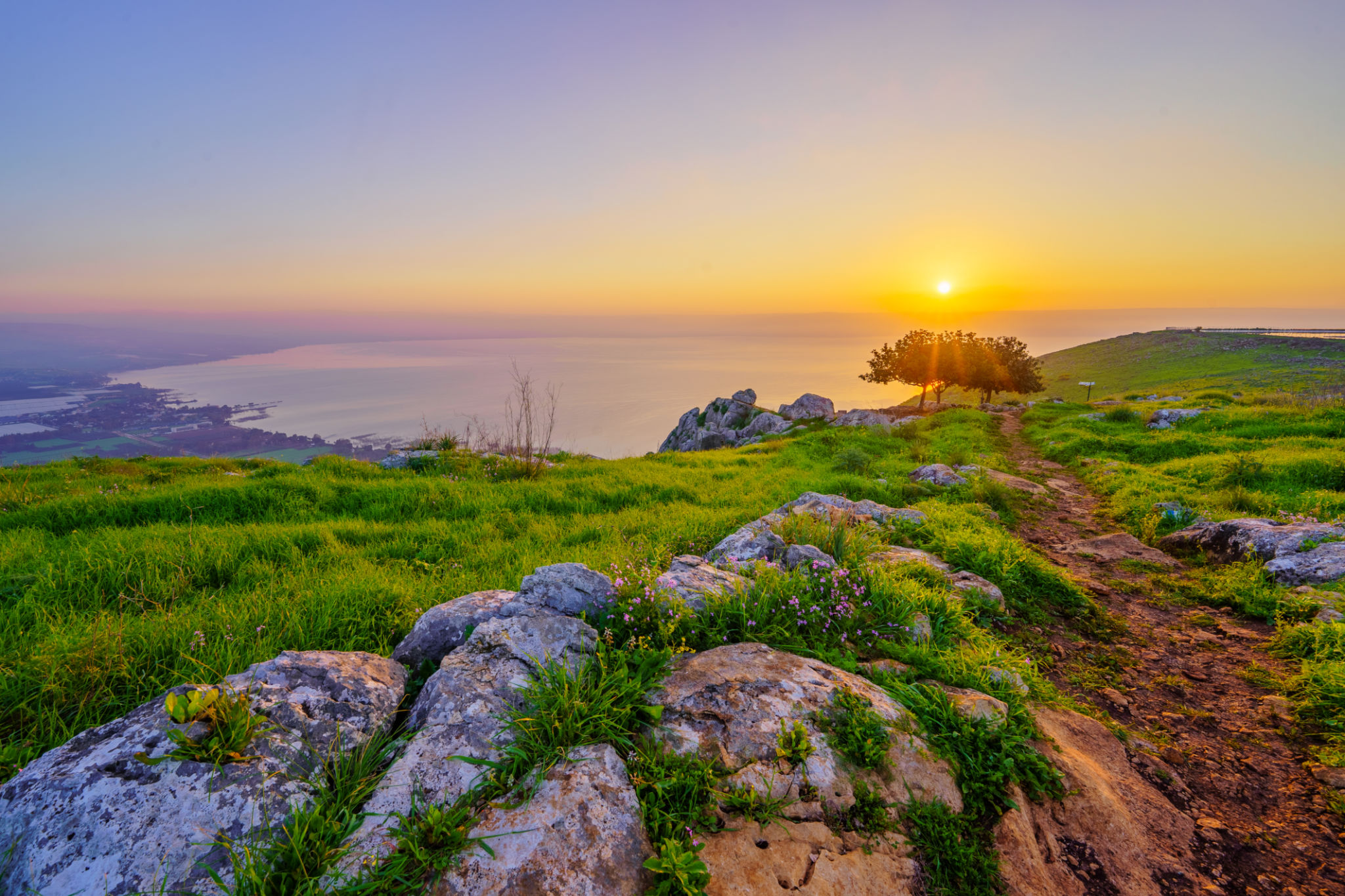 israeli landscape