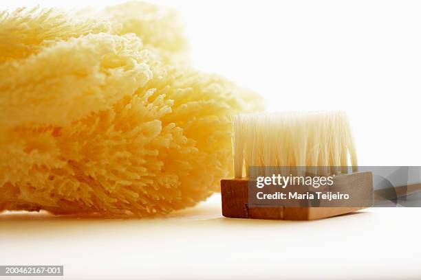 sponge and scrubbing brush, close-up - loofah stock pictures, royalty-free photos & images