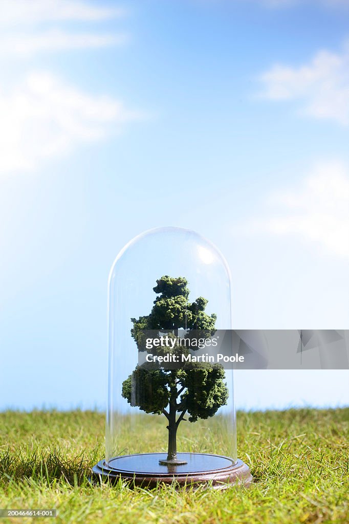 Artificial tree under dome on grass with sky backdrop