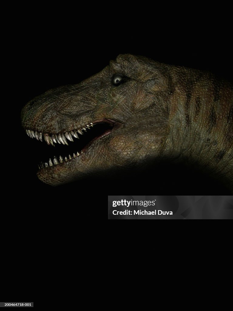 Toy tyrannosaurus rex against black background, close-up