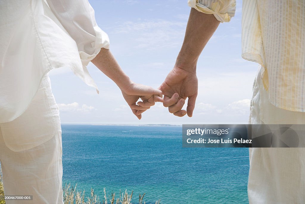 Couple holding hands, rear view, close-up (Digital Composite)