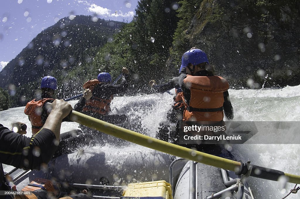 Group of people white water rafting, rear view