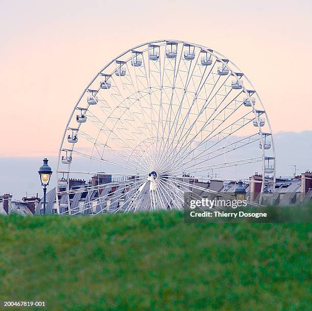 france, paris, la grande roue and rooftops of rue de rivoli, dusk - roue stock pictures, royalty-free photos & images