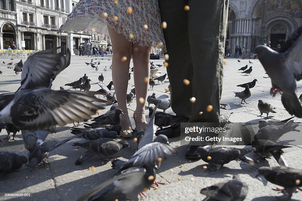 Italy, Venice, couple feeding pigeons in square, low section