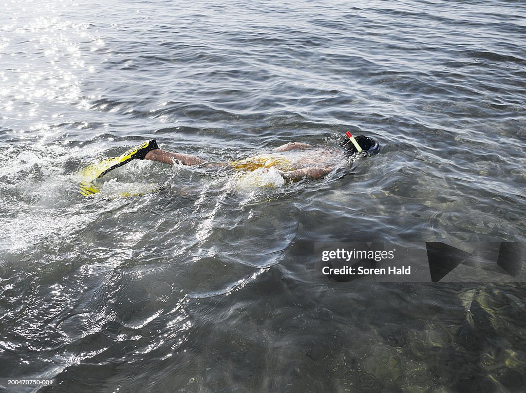Young man wearing flippers snorkelling in lagoon