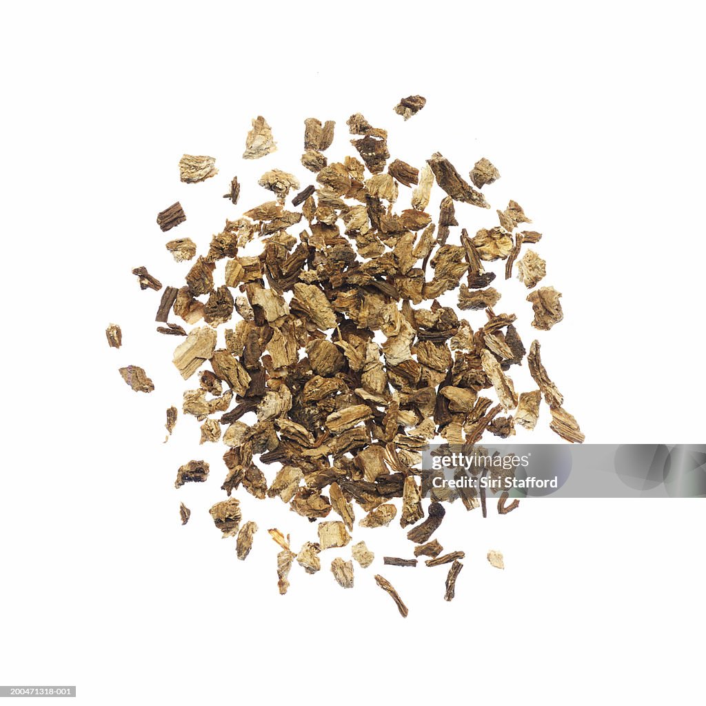 Angelica root