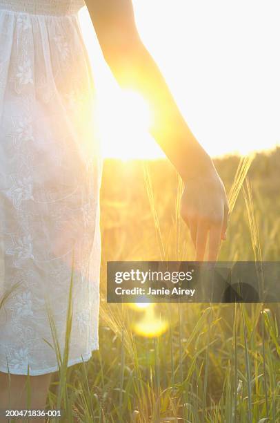 teenage girl (16-18) in long grass, touching grass with hand, close-up - 0703ef stock pictures, royalty-free photos & images