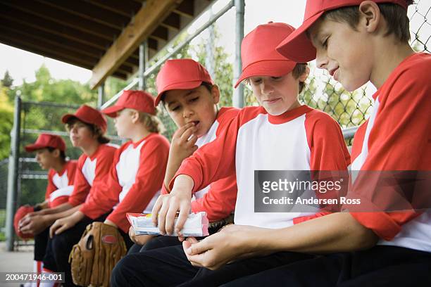 baseball players (9-14) in dugout, three boys eating sunflower seeds - sonnenblumenkerne stock-fotos und bilder