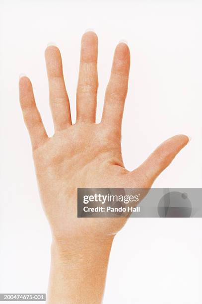 young woman, close-up of hand - mano abierta fotografías e imágenes de stock