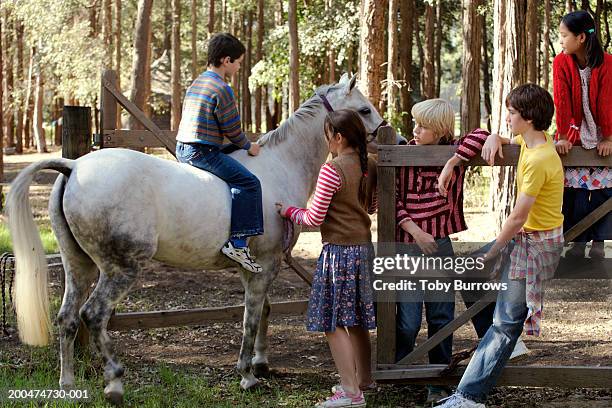 group of friends (9-13) with horse by fence - australian light horse stock pictures, royalty-free photos & images