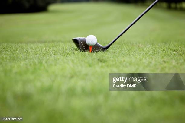 golf ball, tee and club on grass, sports and fitness with landscape, training on course for game or tournament. competition, contest and equipment to play outdoor with start or ready on field - golf course stock pictures, royalty-free photos & images