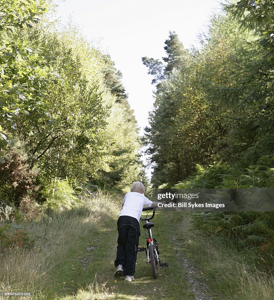 Boy (7-9) wheeling bicycle on country path, rear view