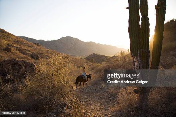 mature woman riding horse in desert - schiereiland baja california stockfoto's en -beelden