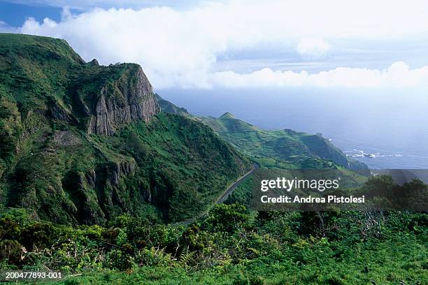 portugal, azores, flores island, border rocks - flores stockfoto's en -beelden