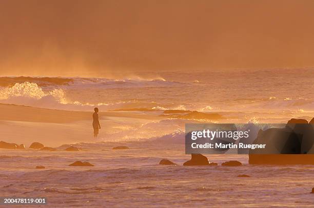 usa, hawaii, oahu, sunset beach, dusk - sunset beach 個照片及圖片檔