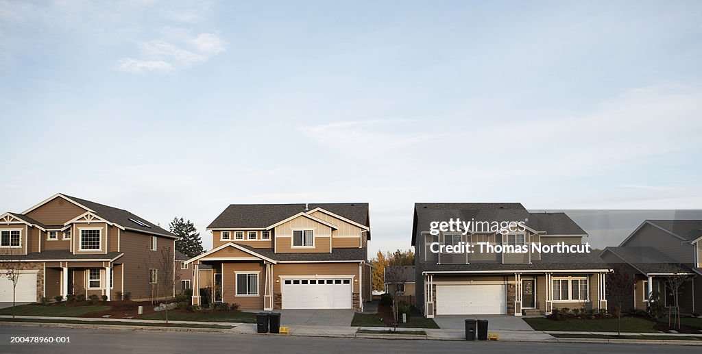 Row of houses with garbage and recycling bins on roadside
