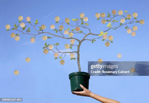 Tree Coin 3,657 Tree Coins Stock Photos, High-Res Pictures, and Images - Getty Images