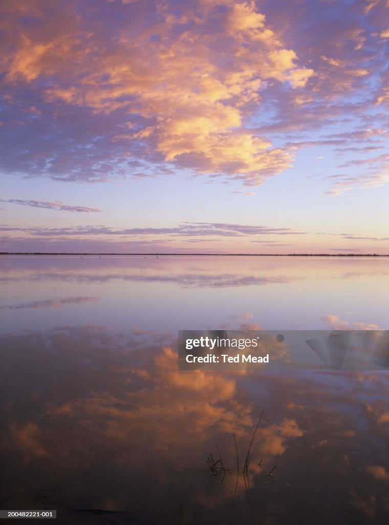 South Australia, Coongie Lakes National Park, flooded lakes at sunrise