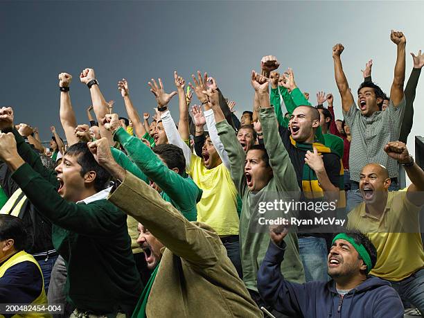 crowd cheering at game - cheering crowd stockfoto's en -beelden