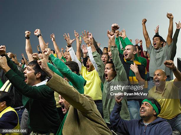 crowd cheering at game - crowd cheering stock pictures, royalty-free photos & images