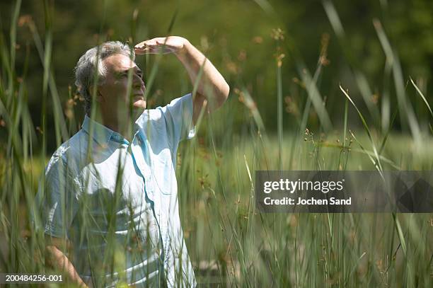 "mature man outdoors, shielding eyes from sun with hand" - shielding eyes stock pictures, royalty-free photos & images