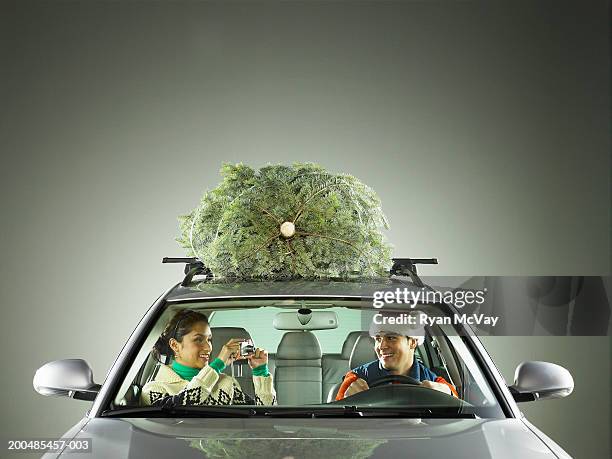 woman photographing man in car with christmas tree strapped to roof - bonnet noel stock pictures, royalty-free photos & images