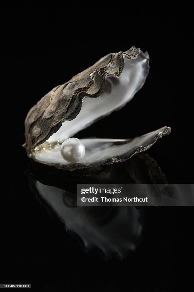 Pearl inside oyster shell