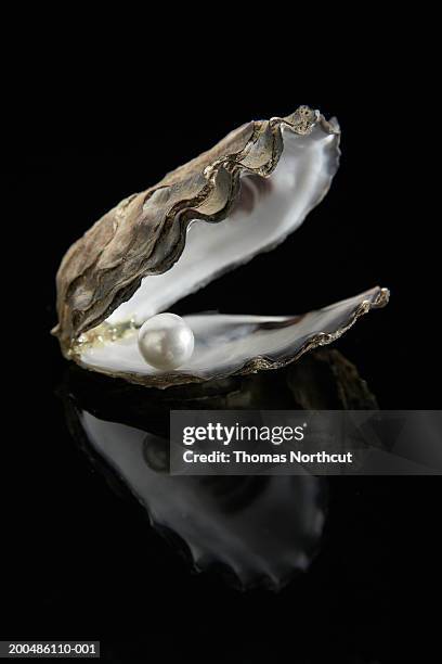 pearl inside oyster shell - pearl stock pictures, royalty-free photos & images