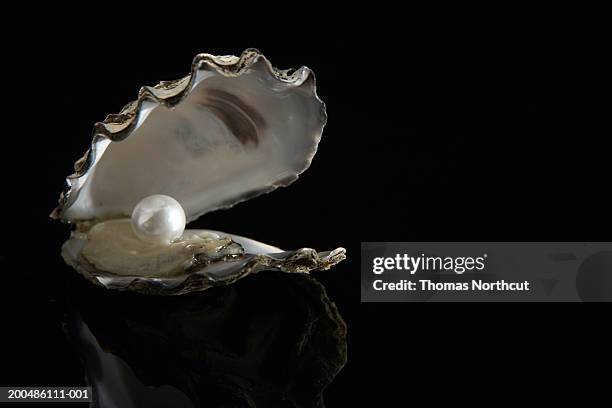 pearl inside oyster shell - parel stockfoto's en -beelden