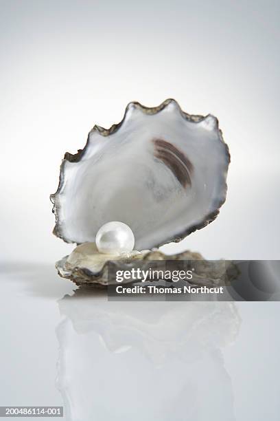 pearl inside oyster shell - perle foto e immagini stock