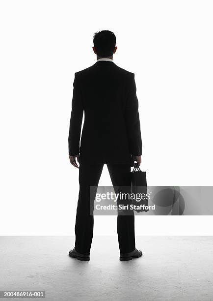 businessman carrying briefcase, rear view - businessman rear view stock pictures, royalty-free photos & images