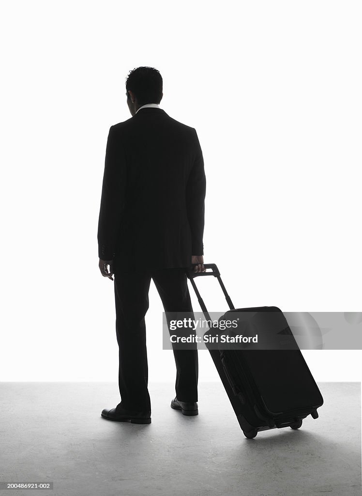 Businessman pulling luggage, rear view