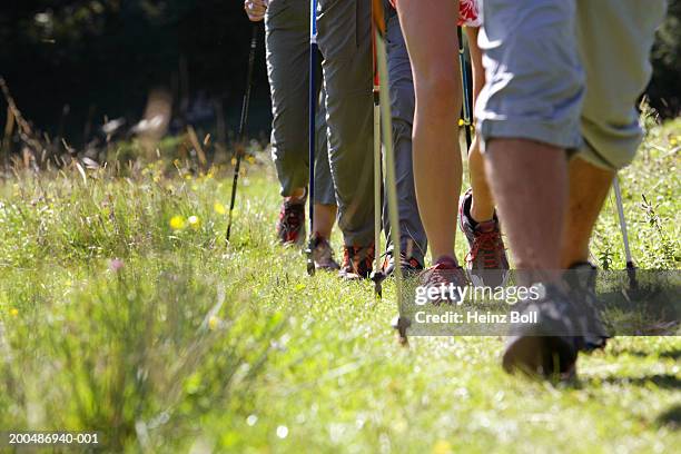 two couples walking with hiking poles, low section - hiking boot stock pictures, royalty-free photos & images